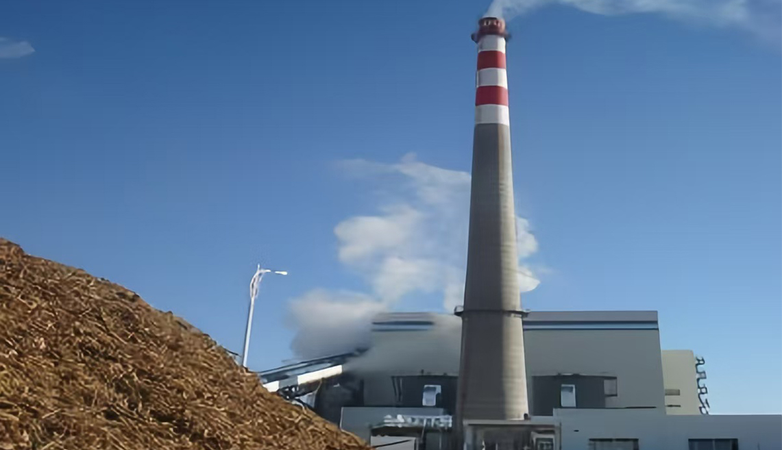 Wuhan Kaidi Power Biomass Project Project